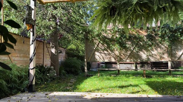 Sunlight filters through trees onto a quiet backyard lawn and wooden deck in Toronto
