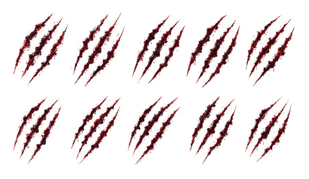 Vector set of bloody beast claw marks and sharp scratches with monster claws animal claws slash marks bloody tracks predator
