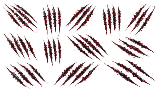 Collection of various wild animal claw scratches and bloody slash marks with scratch marks blood stains predator attack