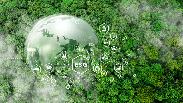 Aerial view of the forest and ecology and sustainable environment icons in green forest for esg concept. Decarbonization to Net zero. Energy renewable, Eco-friendly green business and earth day