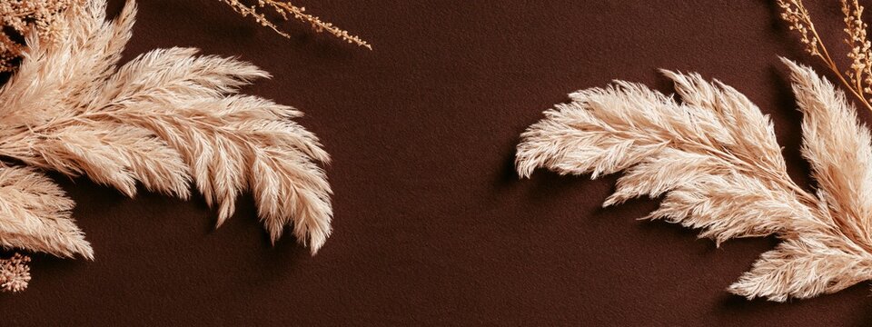 Pampas grass clusters rest on deep brown surface