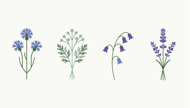 Set of four delicate botanical illustrations featuring wildflowers including lavender, bellflower, and cornflower.