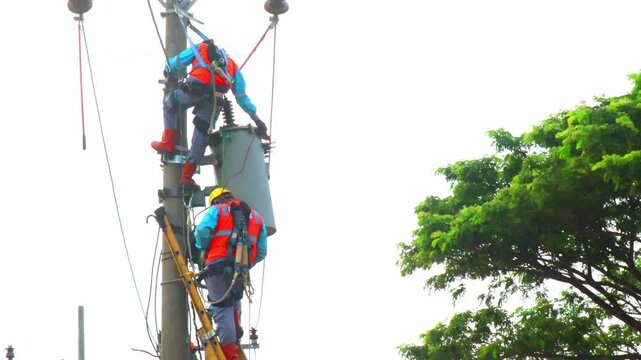 Two electricians work atop a tall pole. They wear safety gear and harnesses. They handle equipment while standing on ladders. Bright green trees frame the scene. The sky is clear and white
