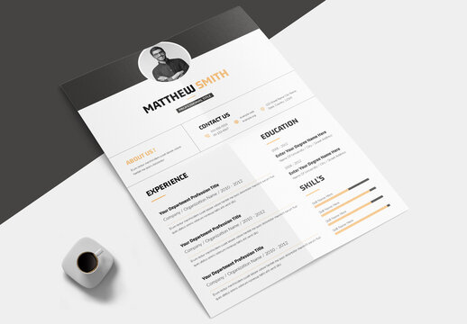 Professional Resume CV Layout