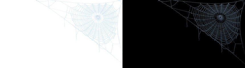 Halloween spider web in a top corner with fine dew covered threads for spooky overlays in PNG, Transparent and Black Background Versions © Tanay