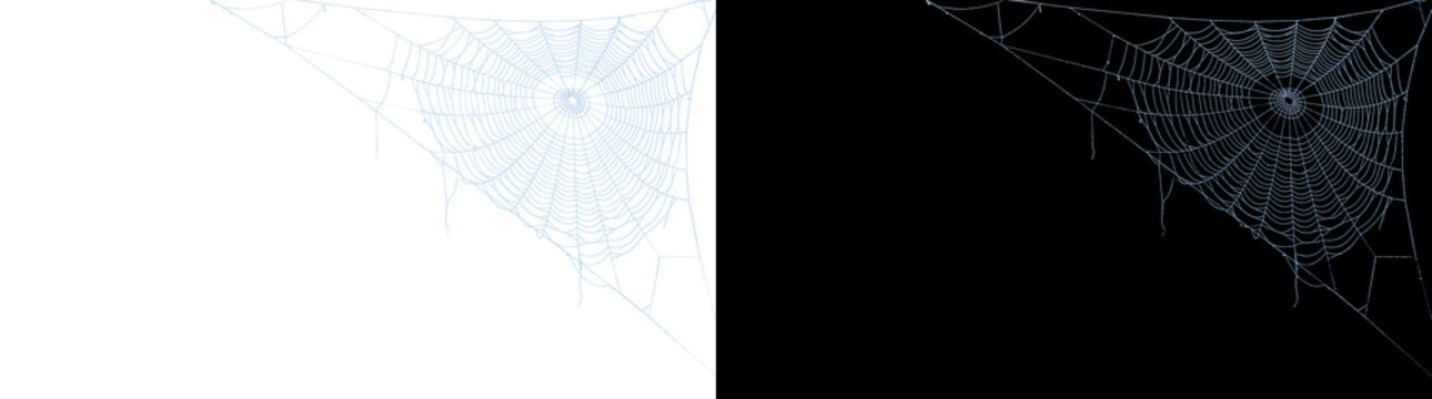 Halloween spider web in a top corner with fine dew covered threads for spooky overlays in PNG, Transparent and Black Background Versions