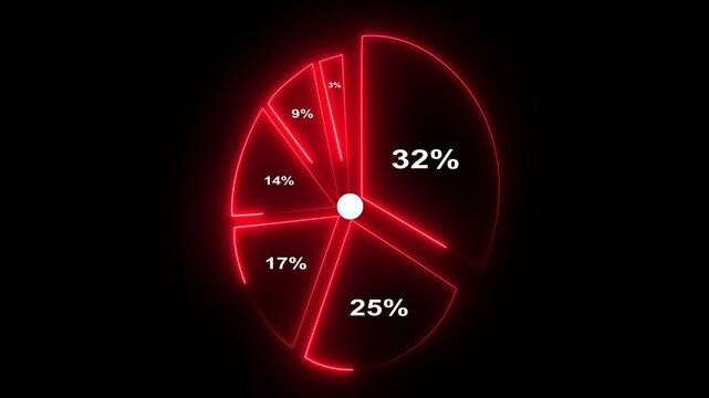 Investment portfolio diversification strategy risk management and asset allocation animation neon line Motion graphics of concept.