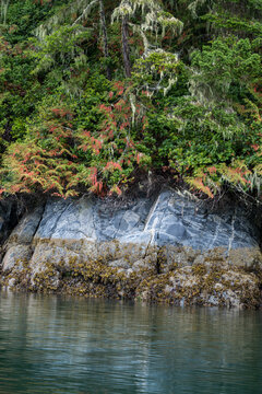 Canada, BC, Broughton Archipelago.  Interesting shoreline rock colorations