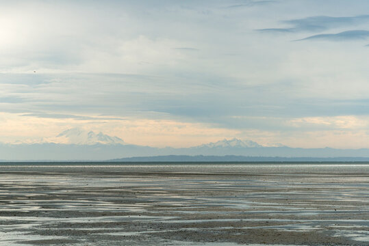 Canada, BC, Delta.  Low tide at Boundary Bay.  