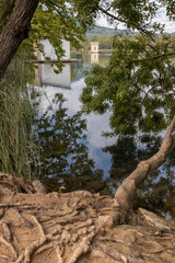 Fototapeta premium Lake banyoles pesqueres reflecting water and tree roots