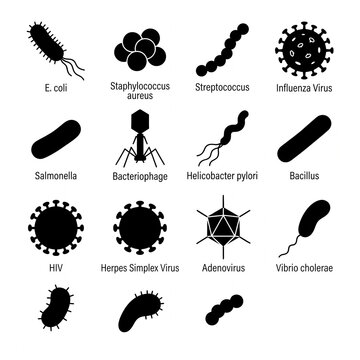 Collection of bacteria and virus silhouette icons illustrating microscopic pathogens including E coli influenza and salmonella isolated on a clean white background vector illustration