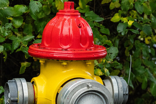 red fire hydrant in reykjavik