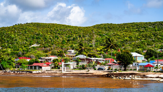 Scenic coastal view of Beausejour village with colorful houses, palm trees, and green hills in La Desirade, Guadeloupe, French West Indies.