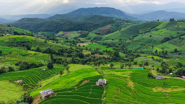 Aerial landscape view of rice terrace and wooden huts in the mountains