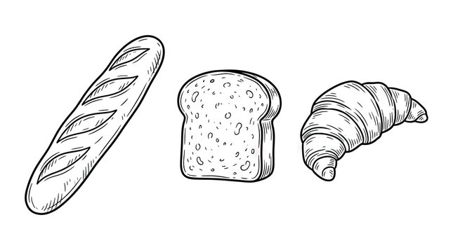 Hand drawn sketches of baguette, toast, and croissant.