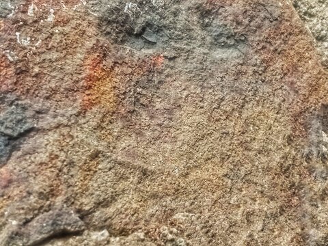 Olive Green Weathered Stone Algae Covered