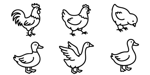 Fototapeta premium Set of farm birds in outline style, including rooster, hen, chick, duck, and goose for graphic design