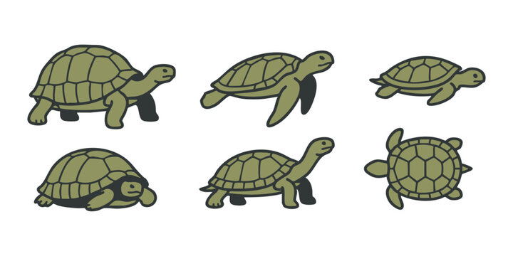 Set of green cartoon turtles and tortoises in various poses showing different species and perspectives