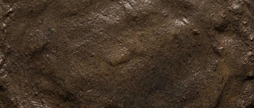 Thick, wet brown mud texture with uneven surface and glossy highlights from natural moisture