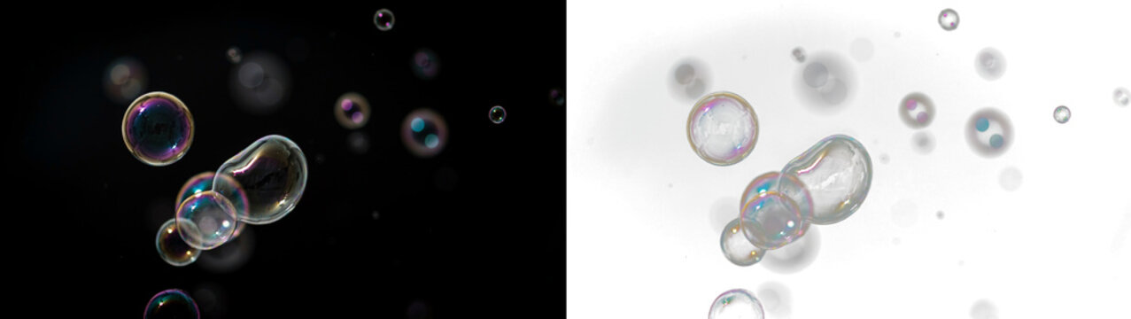 Soap bubbles floating on a black and transparent background