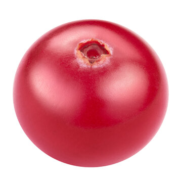 Single cranberry berry object. Fresh organic raw cranberry isolated on white background. Clipping path. Full depth of field