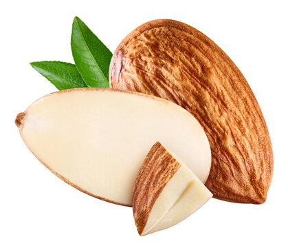 Fresh almond nut with green leaves isolated on white background with clipping path. Organic raw almond for packaging design. Full depth of field
