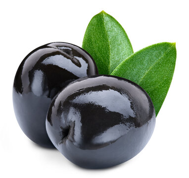 Black olives with green leaves isolated on white background with clipping path. Fresh organic black olive branch. As design element. Full depth of field