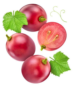 Fresh flying grapes with leaves collection. Ripe sweet berries and green leaf levitation isolated on white background with clipping path