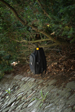 Black backpack hangs on a tree branch above a cobblestone pavement in an urban park. Concept of lost property, forgotten school bag, unattended personal item, and city security safety alert.