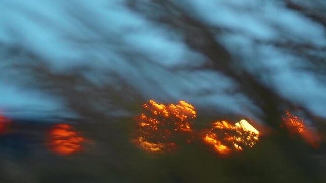 Defocused orange lights seen through dark grass. Grass forms blurred diagonal streaks across clustered amber lights against a blue dusk background.