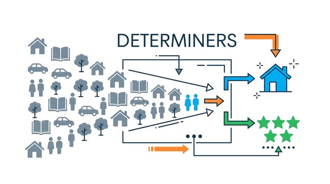 Determiners grammar concept infographic showing filtering of nouns into specific categories with star ratings