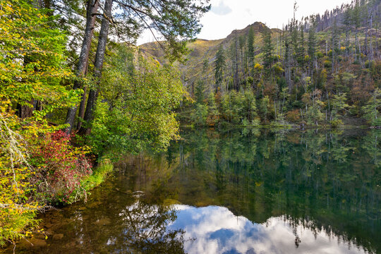 Clackamas River landscape in autumn