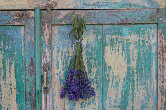 Bunch of lavender hanging on wardrobe