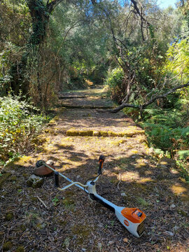 Professional brush cutter trimmer lying on an old mossy stone pathway in a dense green forest, gardening and trail maintenance concept.