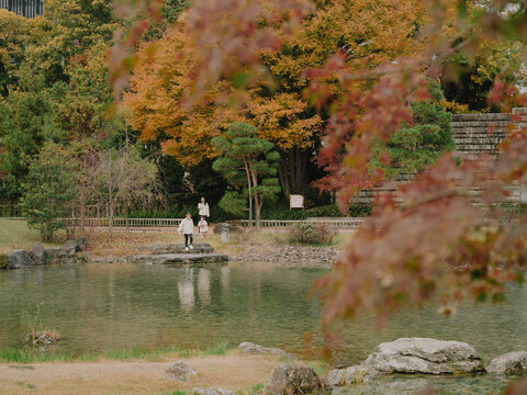 Family on stepping stones surrounded by autumn foliage at a Japanese garden