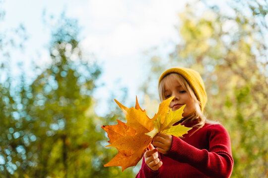 A young girl holds a yellow autumn leaf outdoors in nature