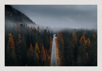 Obraz premium Misty forest road with autumn trees and foggy atmosphere poster design
