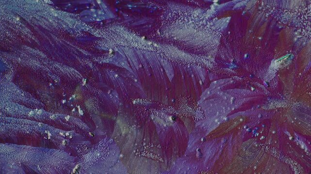 Chemical crystal layer texture displaying optical birefringence color shift changing polarization filter angle under microscope for mineralogy science laboratory research and education material