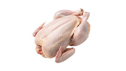 Whole raw uncooked chicken carcass broiler poultry meat isolated on transparent background © Florence