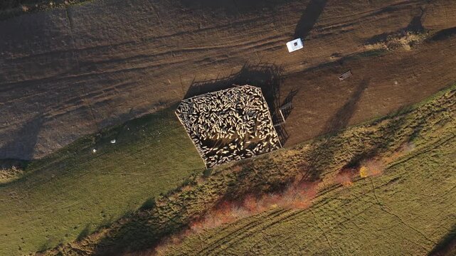 Slow motion aerial view of sheep in sheepfold in the mountains by drone