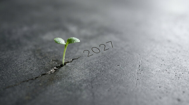 Small green plant seedling growing from a concrete crack with 2027 text