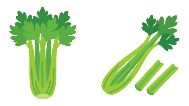 Celery Bundle and Stems, Cartoon Illustration