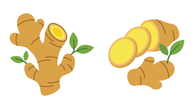 Ginger Root and Sliced Cartoons
