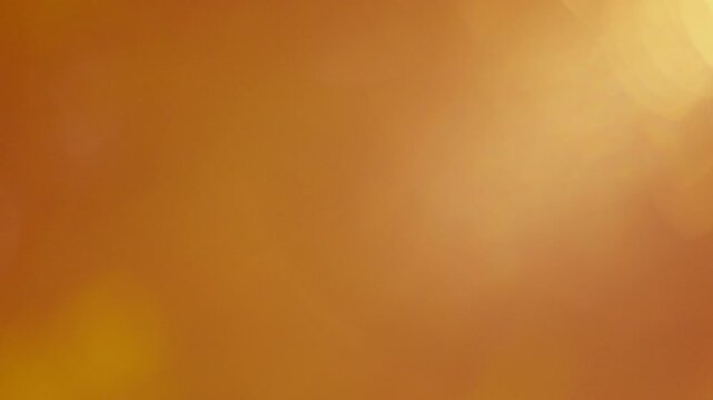 Intense golden hour sunlight piercing through dark branches, natural light leak, energetic organic banner design element