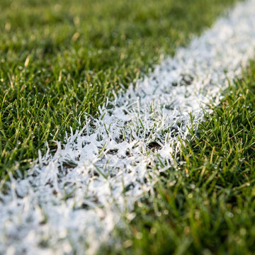 Close up of chalk line marking on grass football pitch for sports field detail boundary concept soccer ground maintenance and turf texture