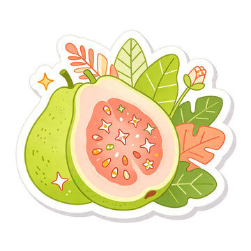 Guava vector illustration