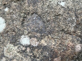 Macro shot of natural granite stone with lichen growth, detailed weathered mineral rock surface background stock photo © Rezki