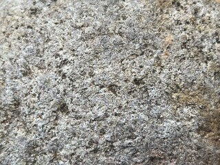 Macro shot of natural grey granite stone texture, detailed weathered mineral rock surface background stock photo © Rezki