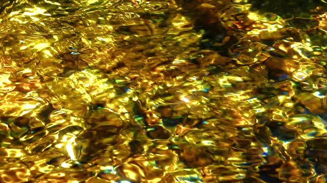 光を反射してゴールドに輝く水面