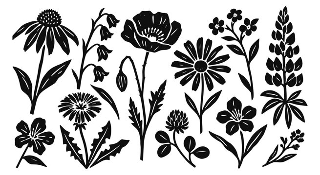 Wildflower linocut icon set. Poppy, coneflower, daisy, clover, lupine and dandelion among meadow blossoms. Hand drawn black vector illustration in vintage woodcut print style.
